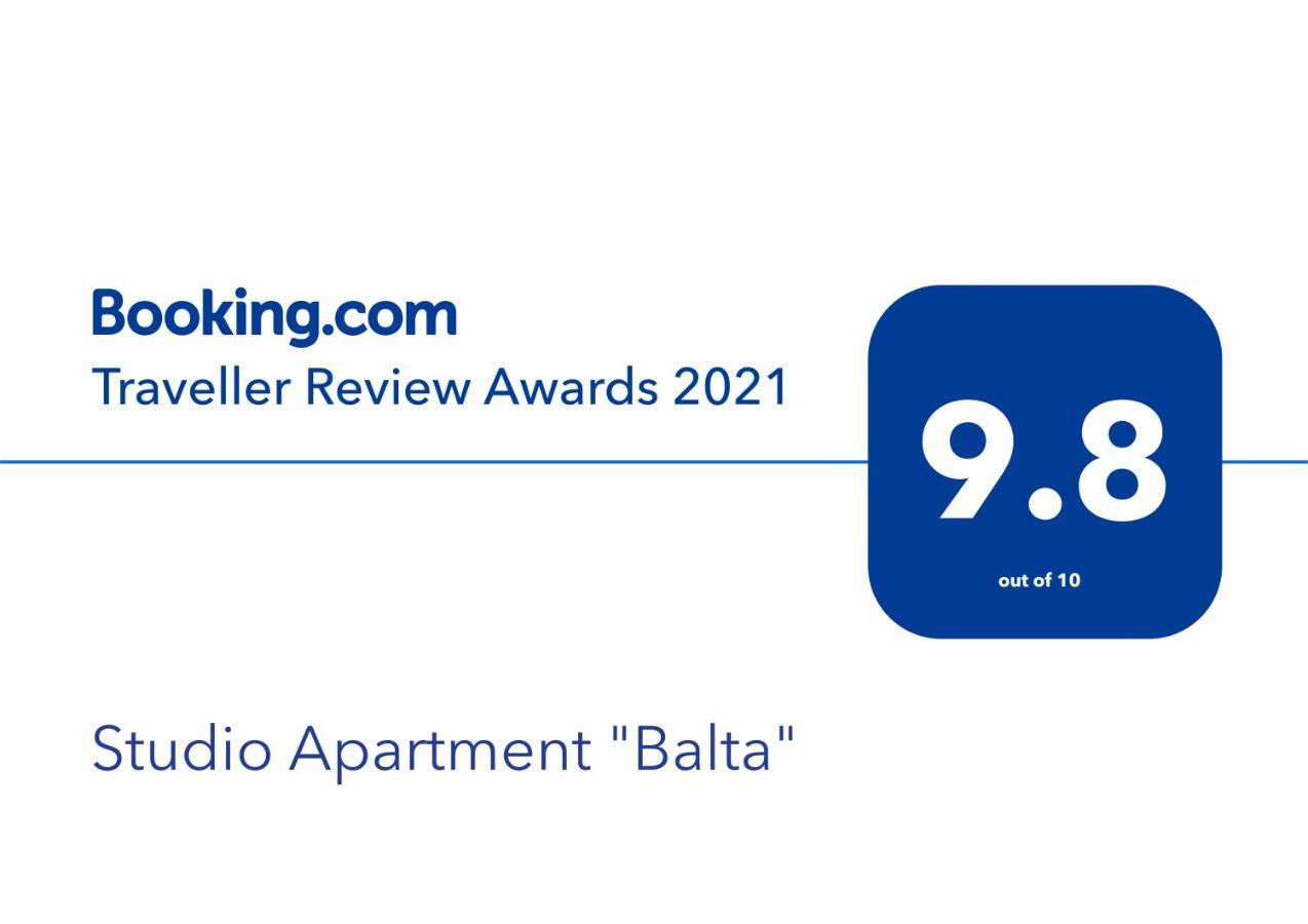 Studio Apartment "Balta" 帕兰加 外观 照片