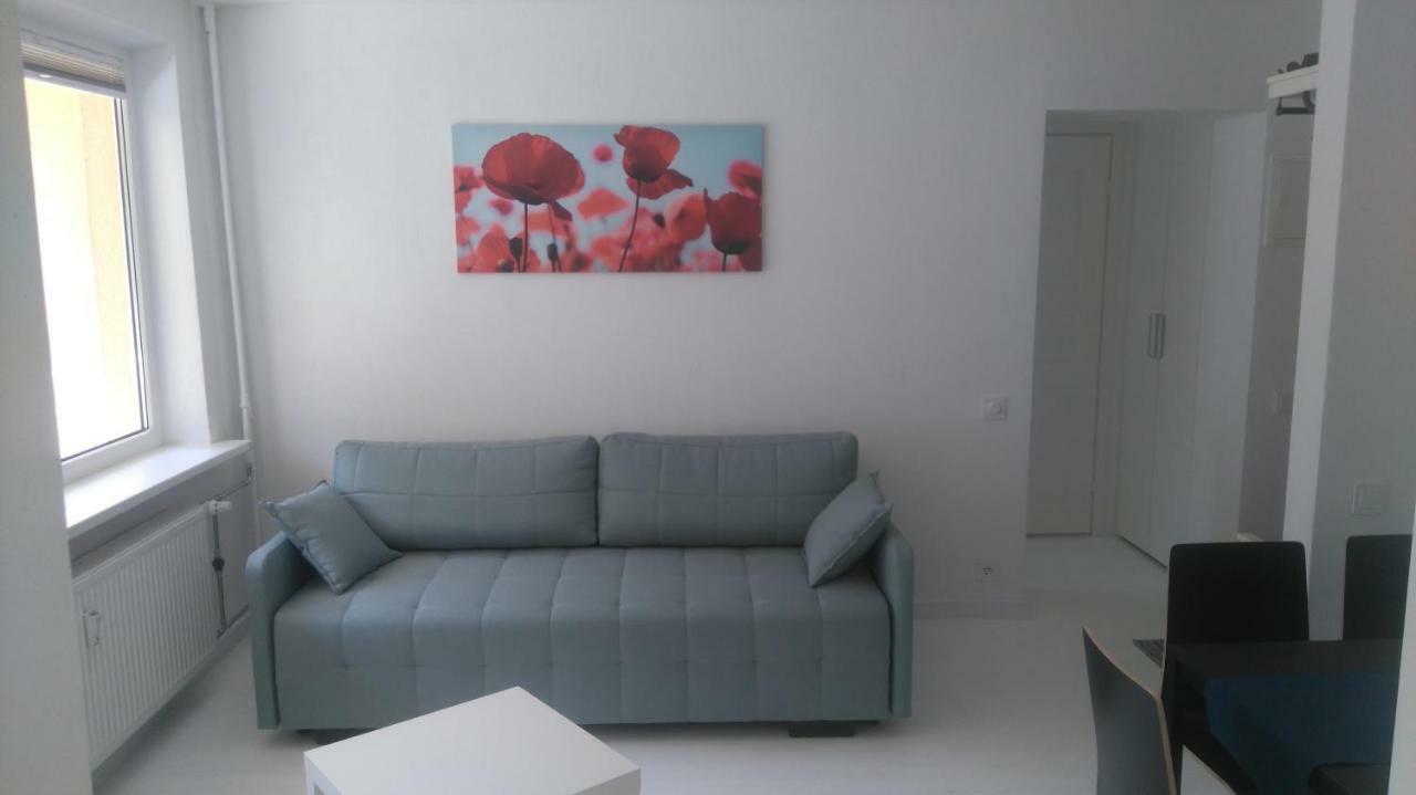 Studio Apartment "Balta" 帕兰加 外观 照片